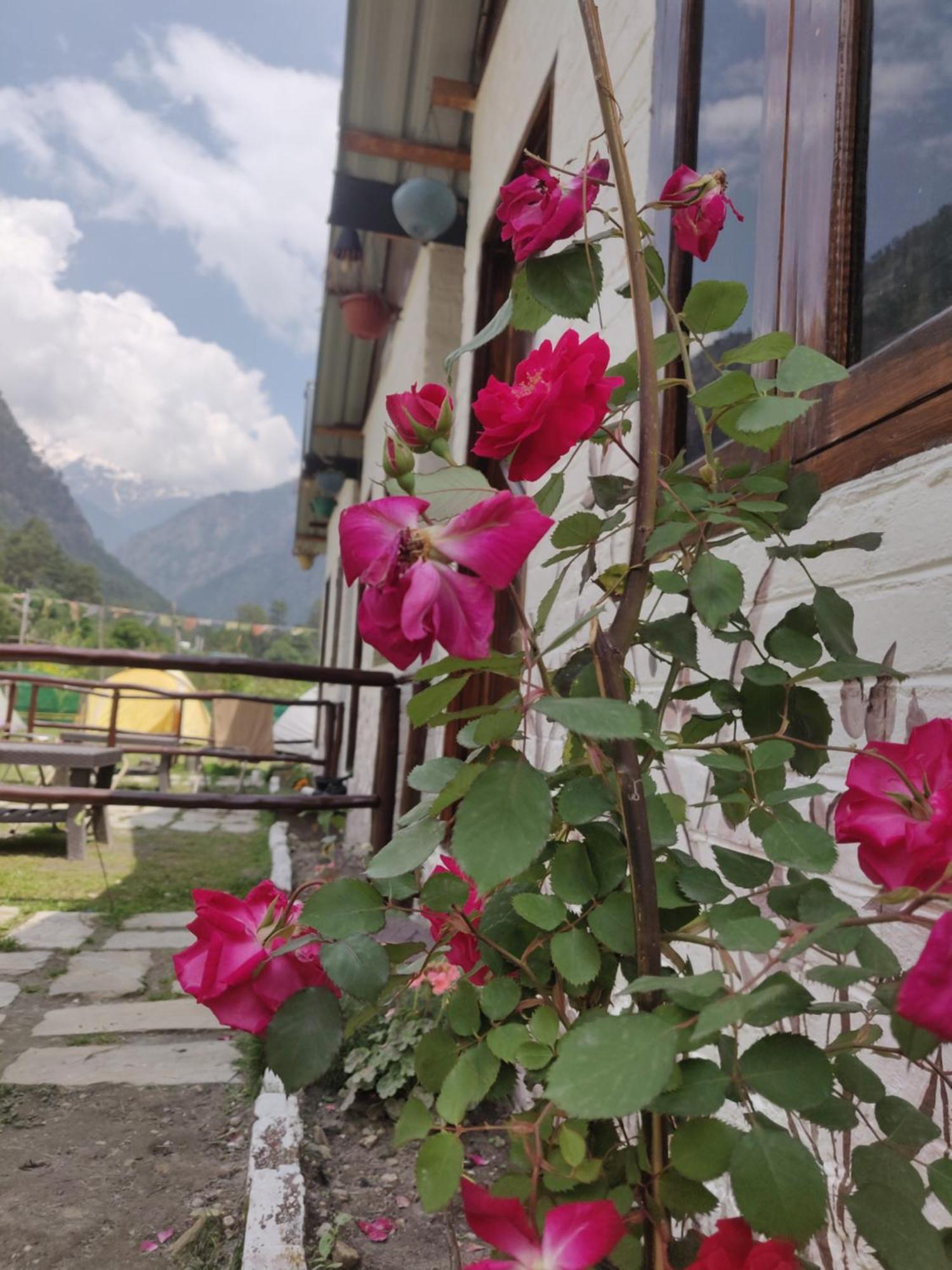 Himtrek Stays, Kasol Dış mekan fotoğraf